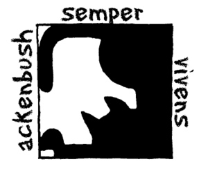 Semper vivens