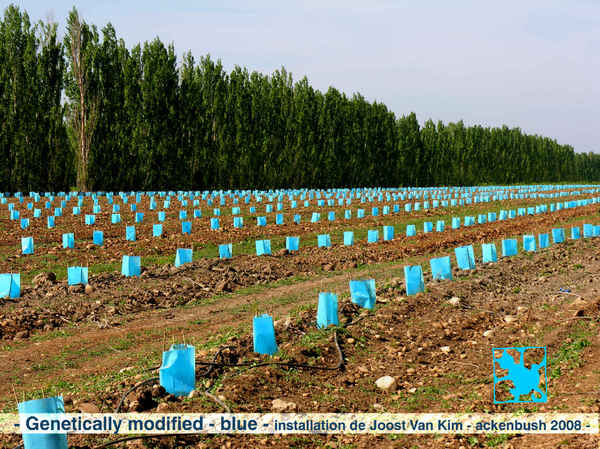 Voeux_2008